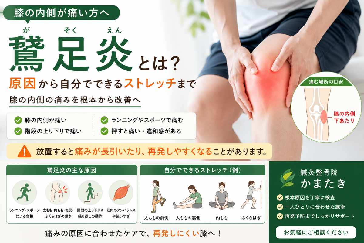 鵞足炎とは？膝の内側が痛くなる原因と自分でできるストレッチ
