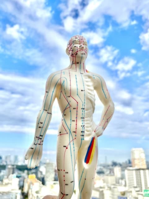 「はりって痛くないの」「何回やれば良くなるの」はり治療を検討している方の疑問を解説