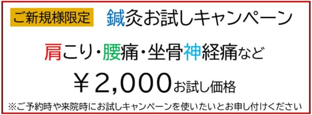 初回お試し