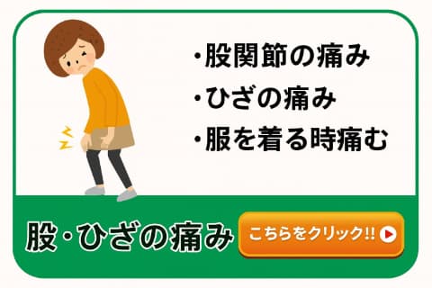股関節・膝痛