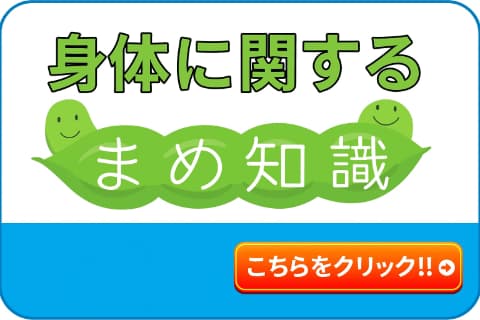 まめ知識